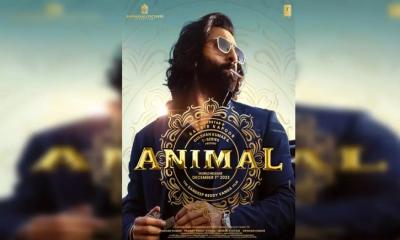 ‘জাওয়ান’-এর পর সর্বাধিক মুনাফার ঘরে ‘অ্যানিমেল’।