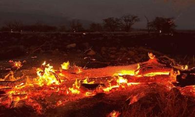 Hawaii fire death toll hits 53, expected to rise higher