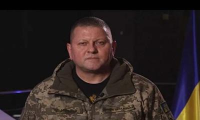 Grenade kills Ukrainian military adviser on birthday