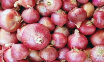 Action being taken against illegal stocks of onion: DNCRP