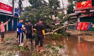 ঘূর্ণিঝড় মিধিলির প্রভাবে প্রাণ গেল ৭ জনের