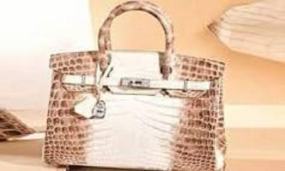 একটি ভ্যানিটি ব্যাগের দাম যখন কোটি টাকার ওপরে