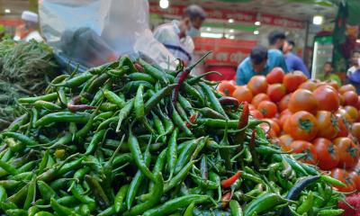 কাঁচা মরিচ ও টমেটো আমদানির অনুমতি দিল সরকার