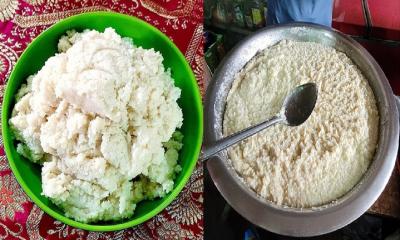 দেশের ১৭তম জিআই পণ্যের স্বীকৃতি পেলো নাটোরের কাঁচাগোল্লা