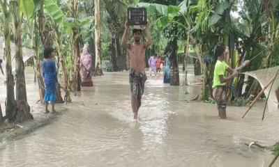 Kurigram flood situation improves as river levels drop