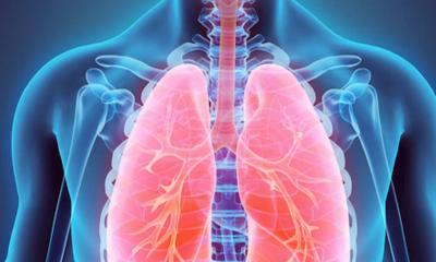 ফুসফুস ভালো রাখে এই ৫ খাবার