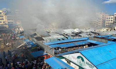 ভয়াবহ আগুনে পুড়ছে মোহাম্মদপুর কৃষি মার্কেট