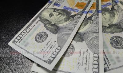 Forex reserves exceed $20 billion