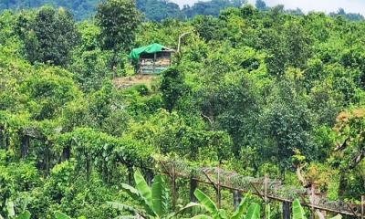 মিয়ানমার সীমান্তের বাসিন্দাদের সরিয়ে নিতে নির্দেশ