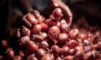 Onion prices cross Tk 100 per kg in Dhaka after India imposes extra duty