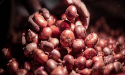 ভারত থেকে এলো ১৬৫০ টন পেঁয়াজ