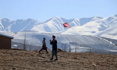 Plane crashes in northeastern Afghan mountains