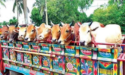 গরুবাহী গাড়িতে চাঁদাবাজি, ৫ পুলিশ সদস্য বরখাস্ত