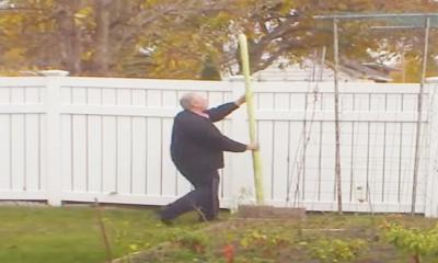 বিশ্ব রেকর্ড গড়তে পারে, ৮ ফুট ৪ দশমিক ৭৯ ইঞ্চির লম্বা চিচিঙ্গা