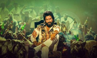 মুক্তির আগেই ইতিহাস গড়ে হাজার কোটির ব্যবসা পুষ্পার