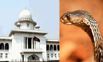 মৃত্যুরোধে রাসেলস ভাইপারের অ্যান্টি ভেনম সরবরাহ চেয়ে নোটিশ