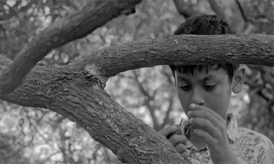 বাংলাদেশি সিনেমা আর্জেন্টিনার উৎসবে!