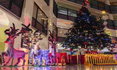 বড়দিনে যেসব আয়োজন রেখেছে  পাঁচ তারকা হোটেলগুলো