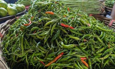 সোমবার ভারত থেকে আসছে কাঁচামরিচ