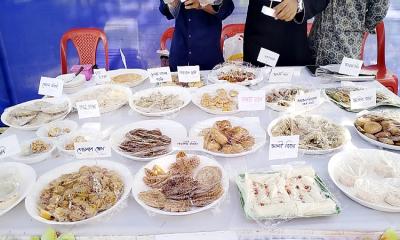 শীতকে বরণ করে নিতে রাবি ক্যাম্পাসে বাহারি পিঠা উৎসব