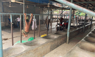 অভিযানের খবরে রাতেই সাদিক অ্যাগ্রো থেকে সরিয়ে নেওয়া হয় গরু