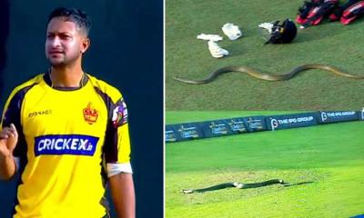 এলপিএলে সাকিবদের ম্যাচে মাঠে সাপ দেখে ‘নাগিন নৃত্য’র কথা মনে পড়ল কার্তিকের