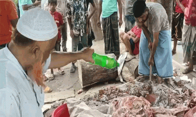 মরা গরুর মাংস বিক্রি, ম্যাজিস্ট্রেট দেখে পালালেন বিক্রেতা
