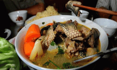 সুস্বাদু সাপের স্যুপ রেসিপি