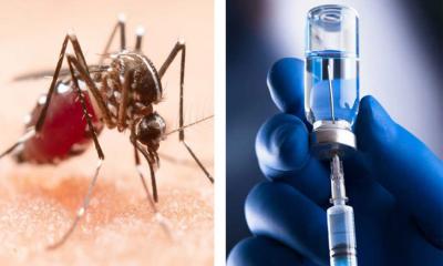 ২০২৬ সালে ডেঙ্গুর টিকা আনবে ভারত