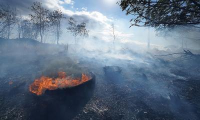 দাবানল কেড়ে নিলো ৬ জনের প্রাণ, বাঁচতে সমুদ্রে ঝাঁপ