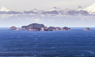 হাঙরের মুখ থেকে মানুষকে বাঁচালো ঘড়ি