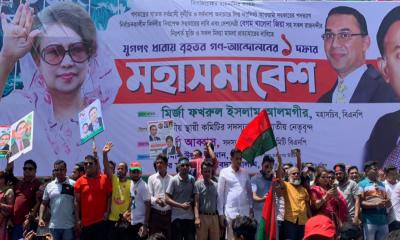 বিএনপির মহাসমাবেশ শুরু, বিভিন্ন পেশাজীবিদের যোগদান