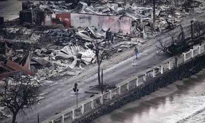 মাউই দ্বীপে মৃত্যু বেড়ে ৯৯, এখনও নিখোঁজ কয়েকশ মানুষ