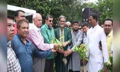 দায়সারাভাবে গাছ লাগাবেন না, গাছের পরিচর্যাও করতে হবে