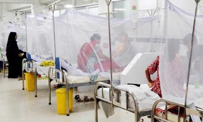 ডেঙ্গুতে ২৪ ঘণ্টায় আরও ১০ জনের মৃত্যু