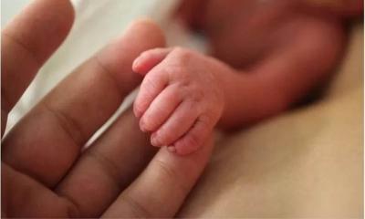 ঢাবির একুশে হলের পাশে ২ নবজাতকের মরদেহ উদ্ধার