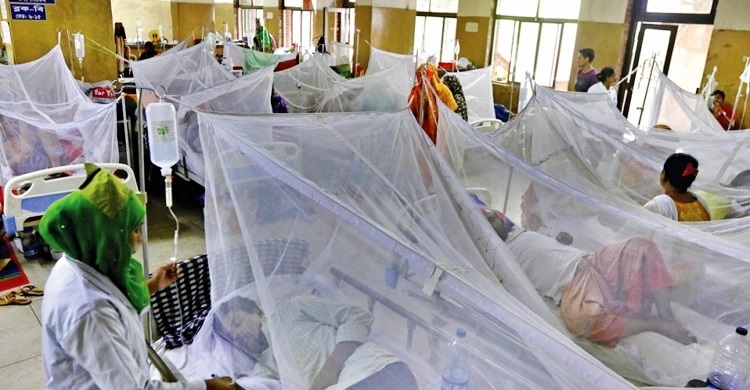 67 news dengue cases recorded