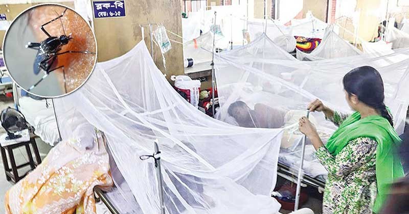 একদিনে রেকর্ড ১২৪৬ ডেঙ্গু রোগী হাসপাতালে