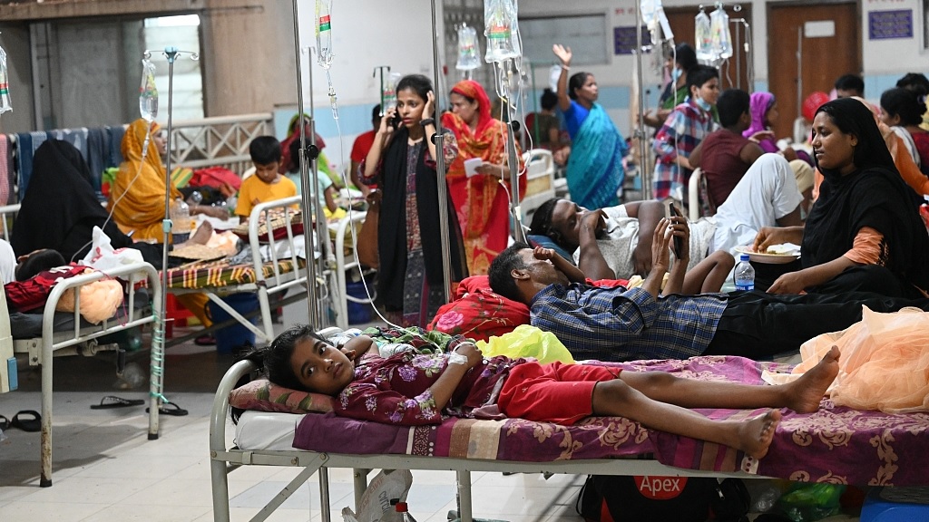 1 more die of dengue; 32 hospitalised in 24hrs