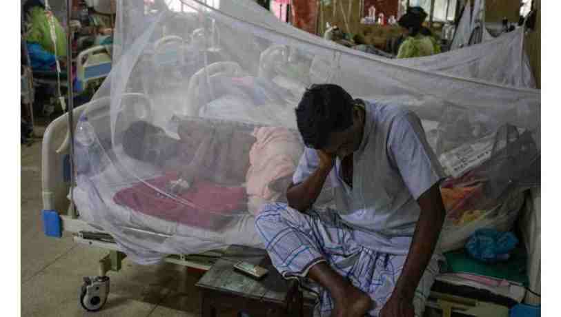 Dengue claims one life, 27 hospitalized