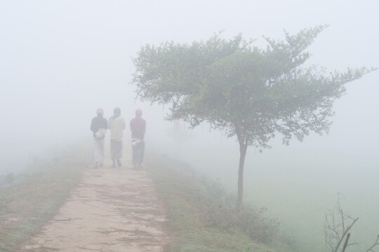 Met Office issues fog alert in Bangladesh