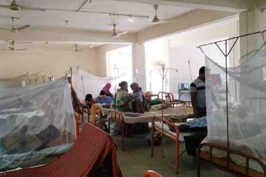 29 new dengue patients hospitalized