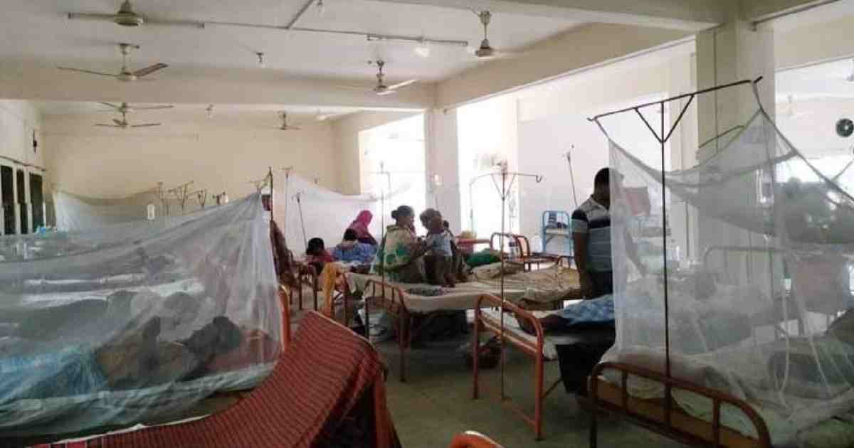 29 new dengue patients hospitalized