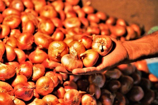Prices of onion, and other daily necessities skyrocket