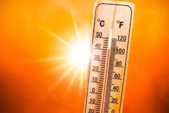 84 die in first 3 days of Spain's heat wave