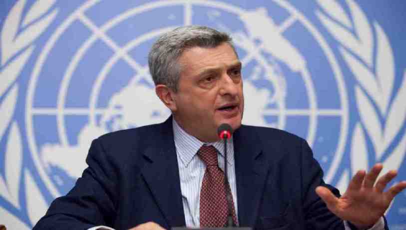 UNHCR arrives Dhaka to discuss needs of Rohingyas