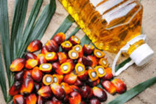 Indonesia to lift Palm Oil export ban from May 23