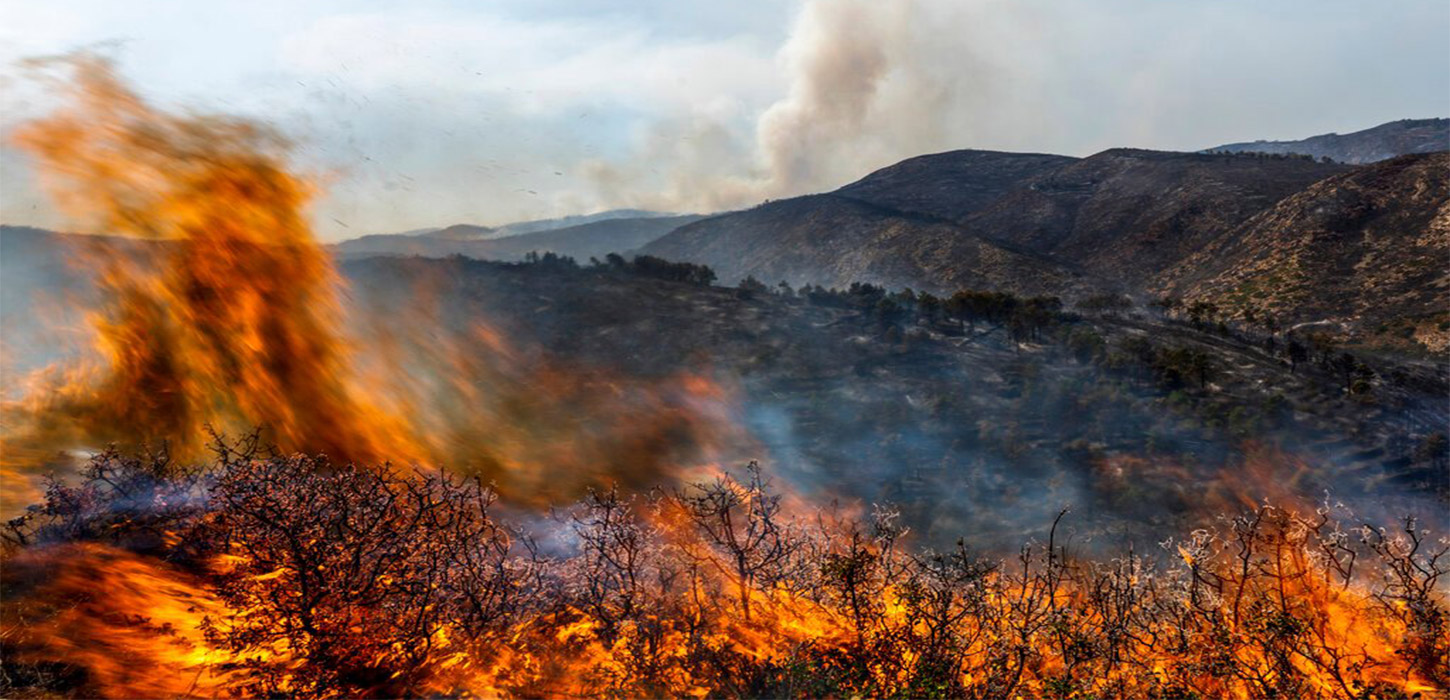 Evacuation orders lifted as Spain wildfire stabilised