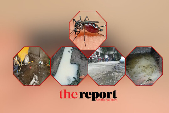 DSCC adjoining areas 'safe haven of Aedes mosquito breeding'