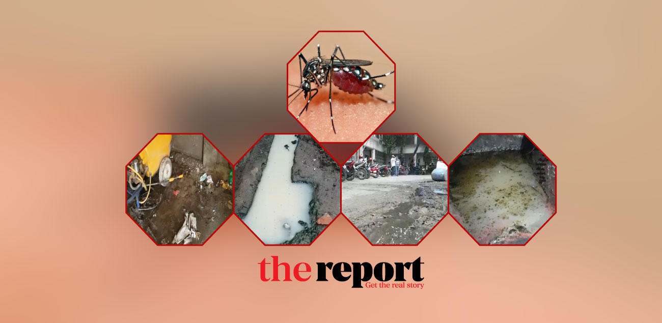 DSCC adjoining areas 'safe haven of Aedes mosquito breeding'